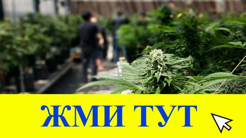 Купить наркотики в Суровикино